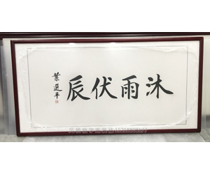 叶选平字画装裱《沐雨伏辰》